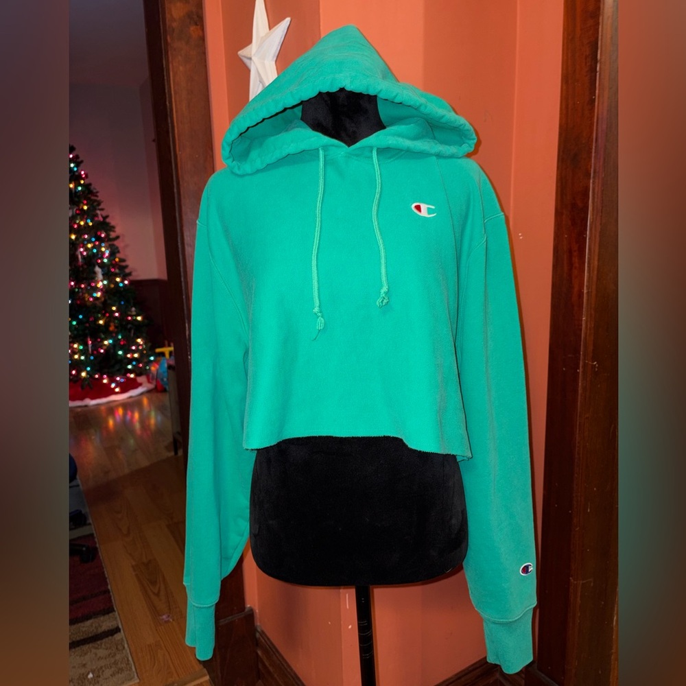 NWOT-Champion cropped hoodie